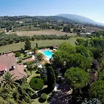 Serena Assisi